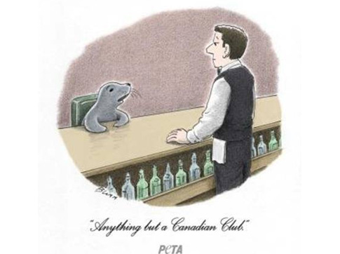 The Seal and the Bartender